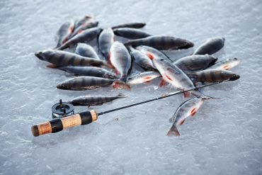 Best ice fishing in United Kigdom